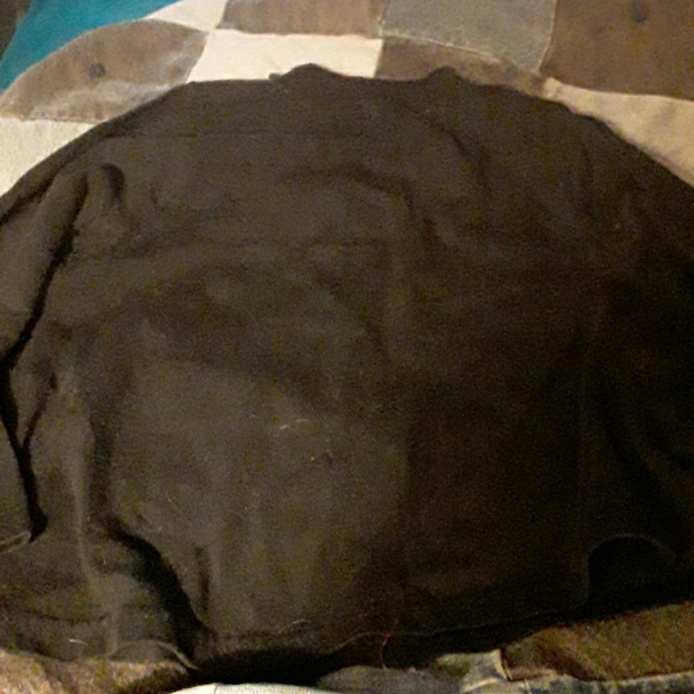 SIZE  2T?? TAG IS  REMOVED. BLACK POODLE TOP. - Picture 4 of 4